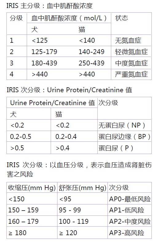 刘诗雯获大学体育教授亲自指导,东京奥运再添制胜法宝“IM电竞官网”(图2) IM电竞官网