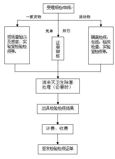 “IM电竞”最新足坛球员身价榜:内马尔2.5亿欧力压梅西 C罗第7(图3) IM电竞官网