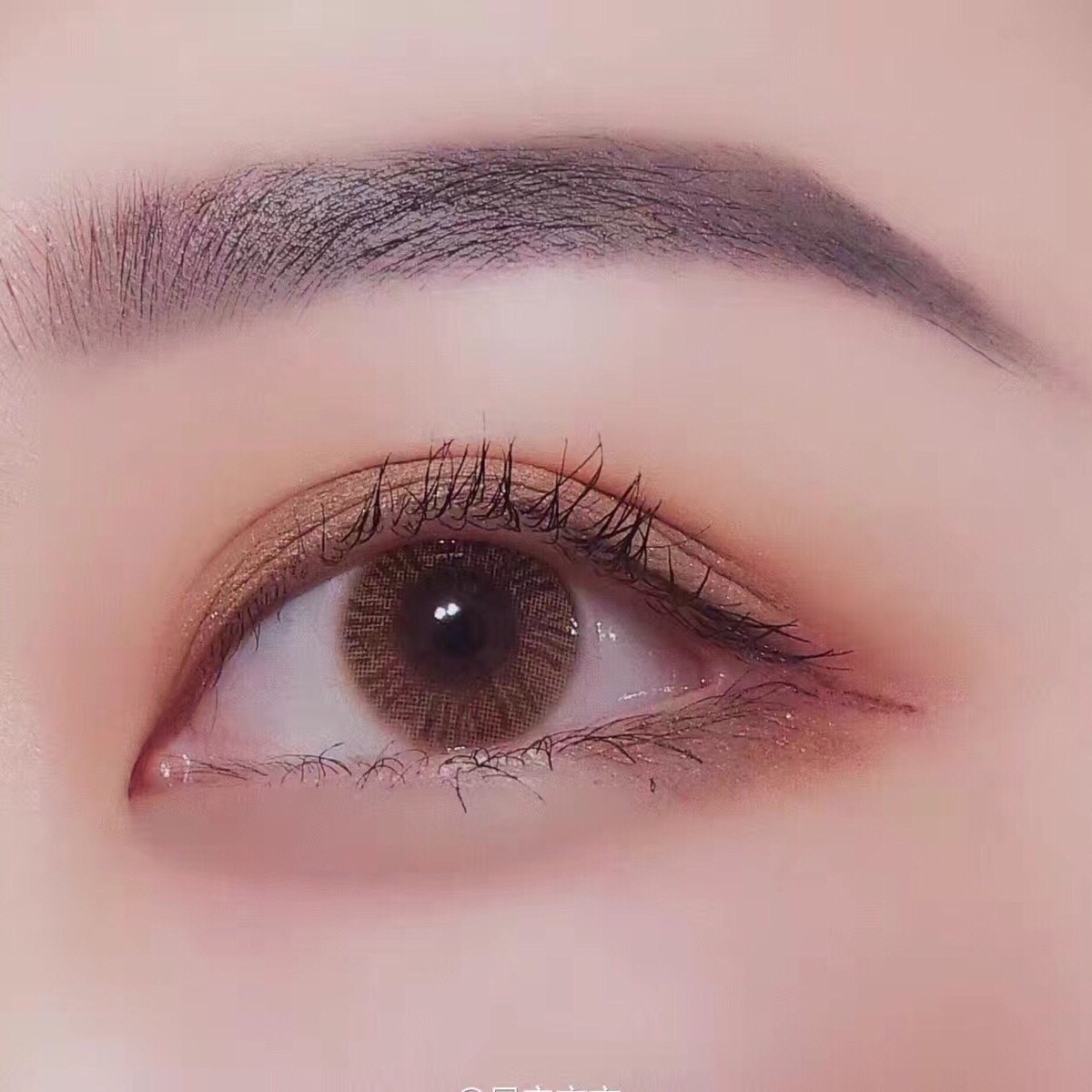 河南省内乡县王店初中:多项拉练,有序中招“IM电竞官网”(图1) IM电竞平台