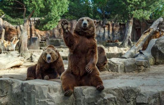 【IM电竞官网】德甲多特蒙德5-2胜汉堡全场比赛录像视频 奥巴梅扬大四喜(图1) IM电竞