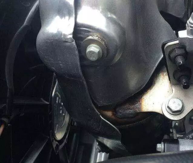 【人寿保险险种介绍】人寿保险有哪些险种|IM电竞(图1) IM电竞平台