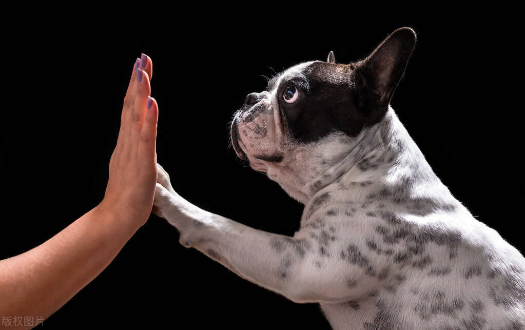 当归补血汤 炖汤佳品 两种药 一个补气 一个补血 以气补血|IM电竞官网(图4)
当归补血汤 炖汤佳品 两种药 一个补气 一个补血 以气补血|IM电竞官网(图4)