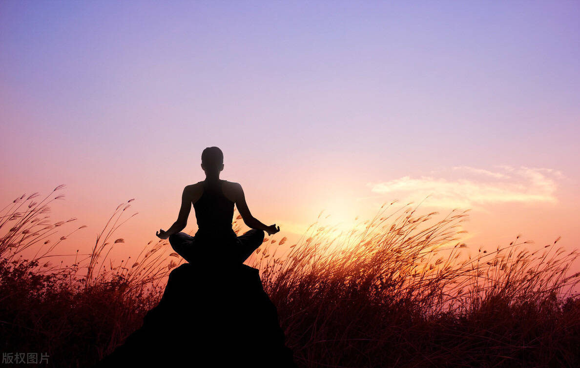 当归补血汤 炖汤佳品 两种药 一个补气 一个补血 以气补血|IM电竞官网(图5)
当归补血汤 炖汤佳品 两种药 一个补气 一个补血 以气补血|IM电竞官网(图5)