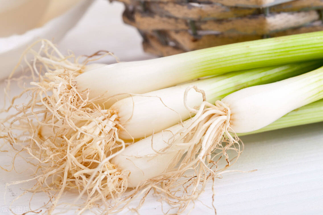 当归补血汤 炖汤佳品 两种药 一个补气 一个补血 以气补血|IM电竞官网(图12)
当归补血汤 炖汤佳品 两种药 一个补气 一个补血 以气补血|IM电竞官网(图12)