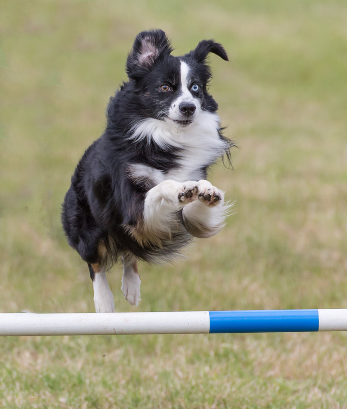 ‘IM电竞官网’青海省完善道路运输承运人责任保险统保制度(图1) IM电竞官网