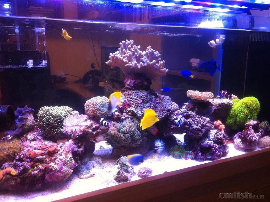 ‘IM电竞平台’陈数一件白T恤也能穿出高级感!40岁秒酿成20岁,霸气女王风范(图2) IM电竞