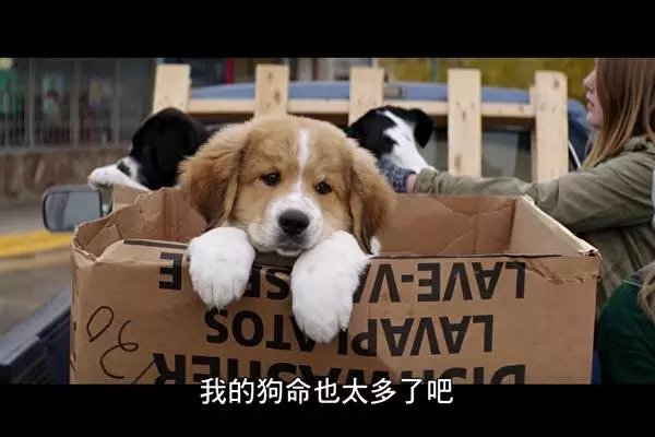 “IM电竞平台”阿森纳领先塞里争夺战(图1) IM电竞官网