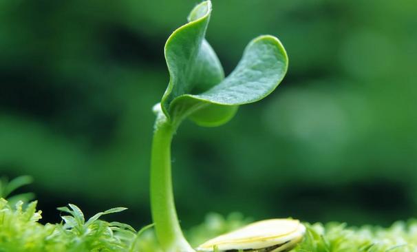 男子最需要女人的这3种明白“IM电竞”(图4)
男子最需要女人的这3种明白“IM电竞”(图4)