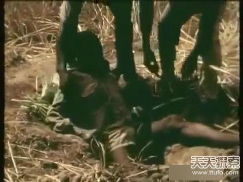 ‘IM电竞官网’中国保险业加快海外布局 护航“一带一路”建设(图3) IM电竞平台