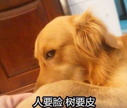 “IM电竞”
社会不良民风 女人对男子举行双标 影响极其恶劣(图5) “IM电竞”
社会不良民风 女人对男子举行双标 影响极其恶劣(图5)